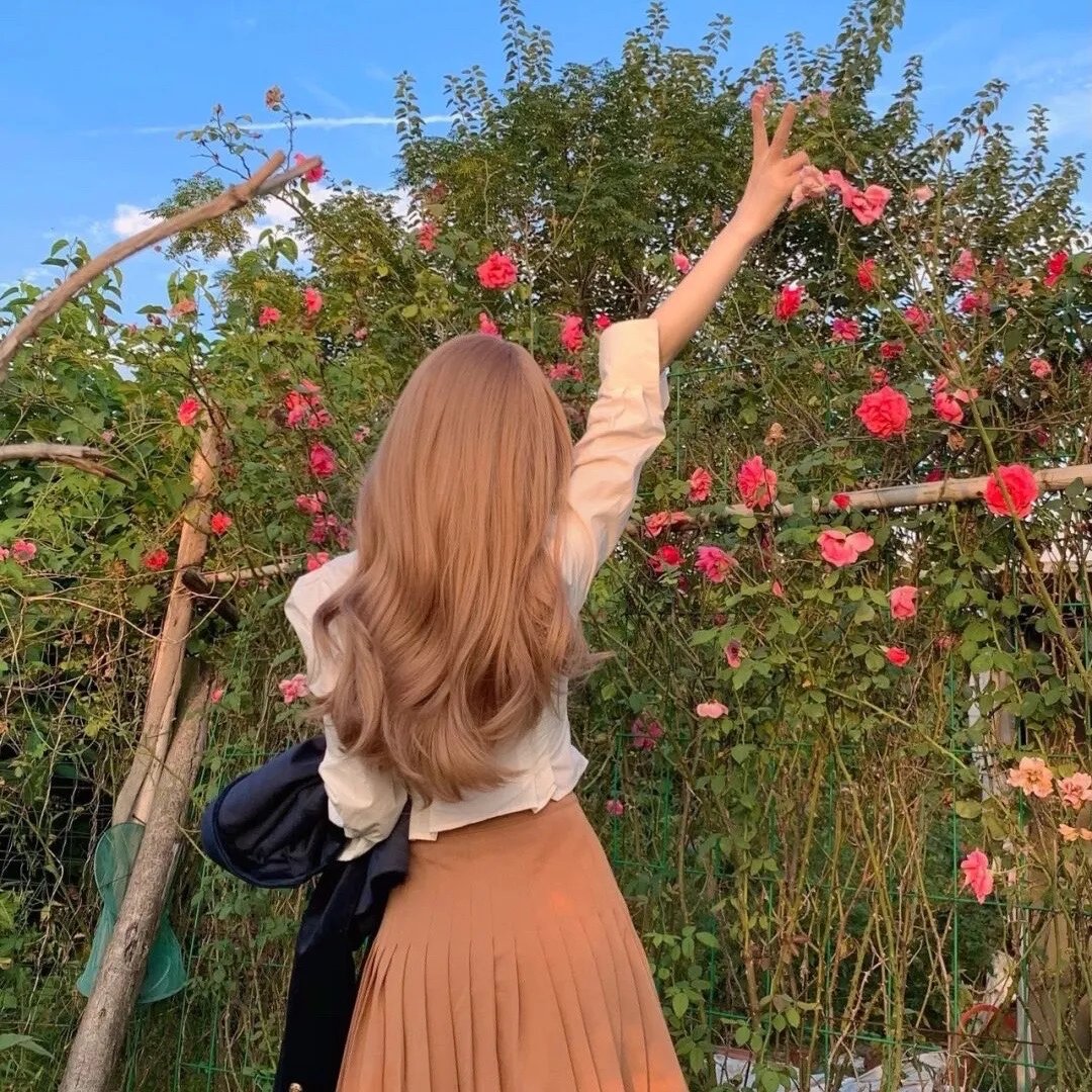 花落莺啼春